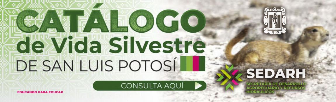 Catálogo de Vida Silvestre 2025